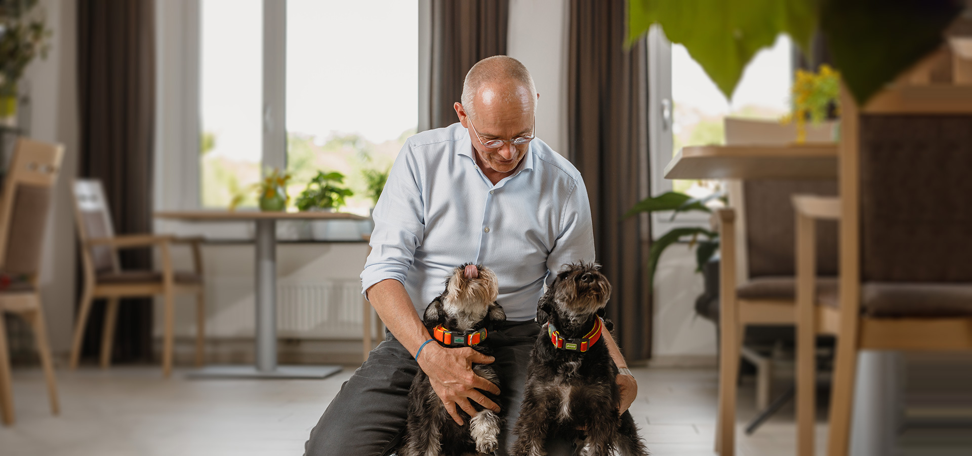 Über uns: Herr Zlatanovic mit Hunden